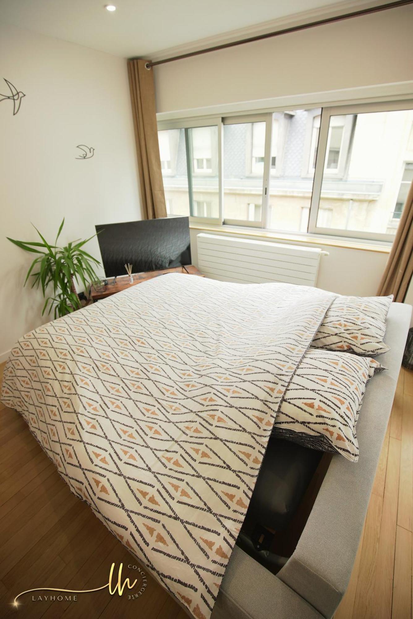 Chaleureux, Lumineux Et Confortable F2 Renove En Plein Coeur De Nancy Eksteriør bilde